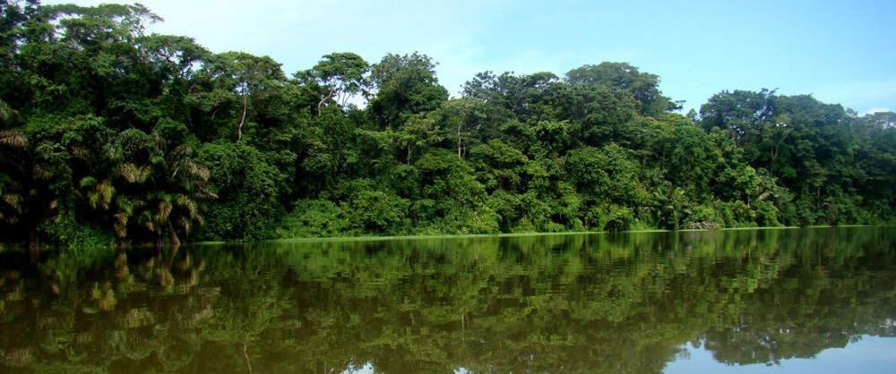 דירות טורטוגוארו Caribbean View מראה חיצוני תמונה