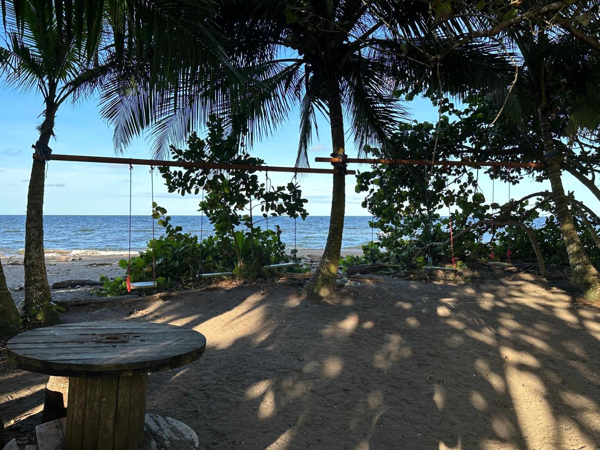 דירות טורטוגוארו Caribbean View מראה חיצוני תמונה